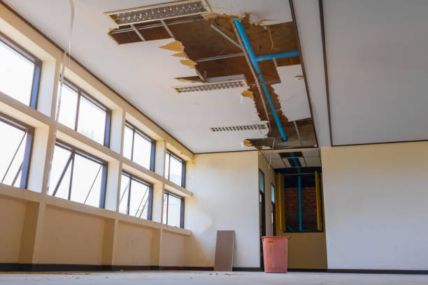 Best Water damage restoration near me  in Tieton, WA