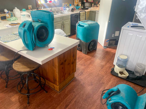 Best Mold removal after water damage  in Tieton, WA