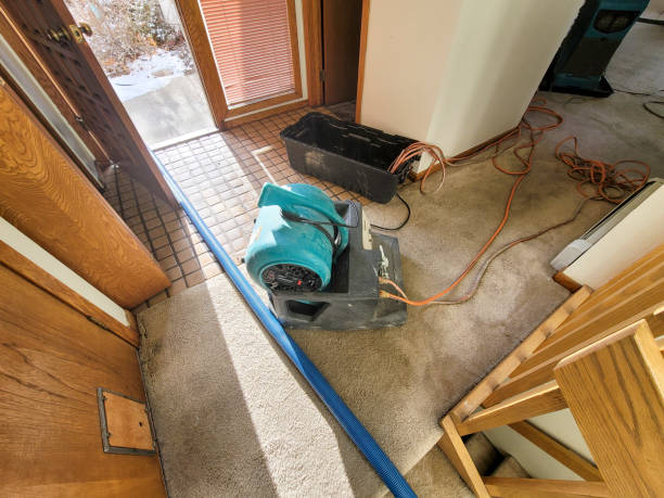 Best Local water damage restoration  in Tieton, WA