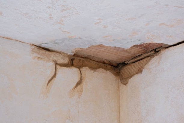 Best Water damage contractors near me  in Tieton, WA