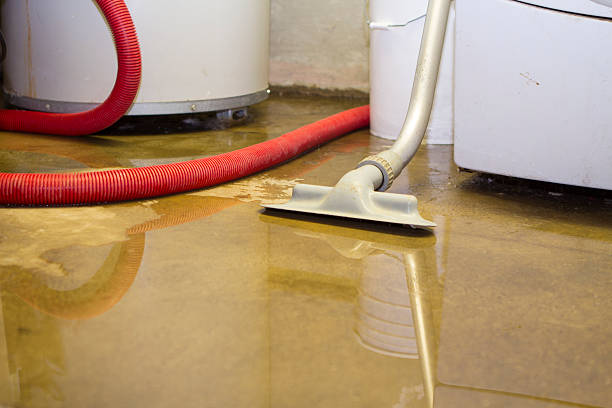 Best Water damage contractors near me  in Tieton, WA
