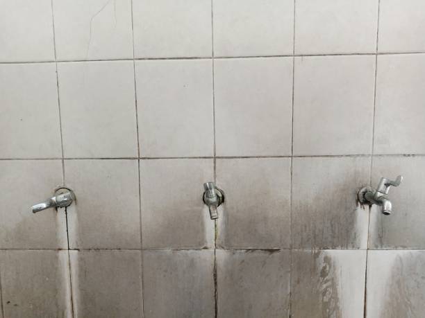 , WA Water damage restoration Company