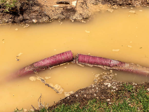 Best Commercial water damage restoration  in Tieton, WA